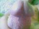 Private Photo of bigbadcock